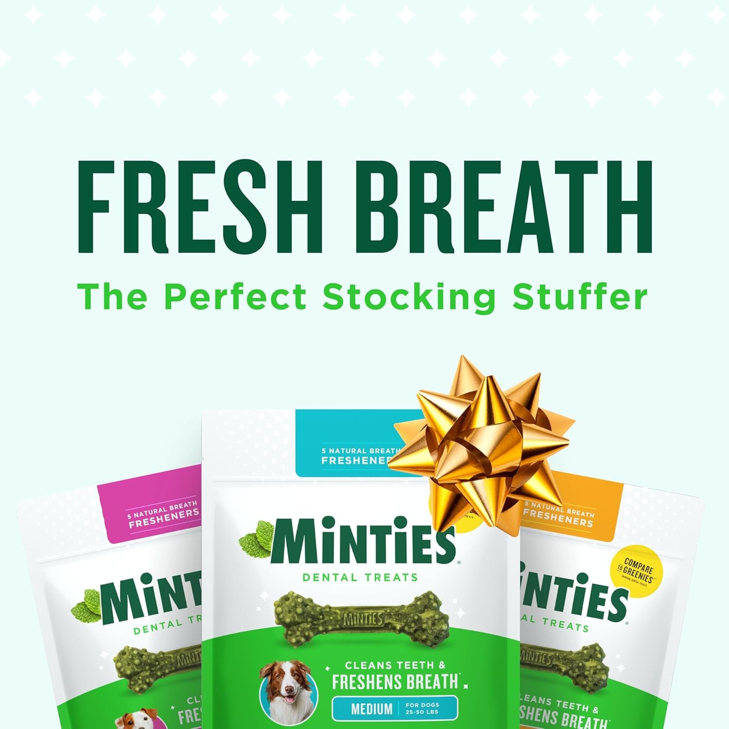 Vetiq Dog Dental Bone Treats, Dental Chews for Dogs, (Perfect for Medium/Large Dogs over 40 Lbs)