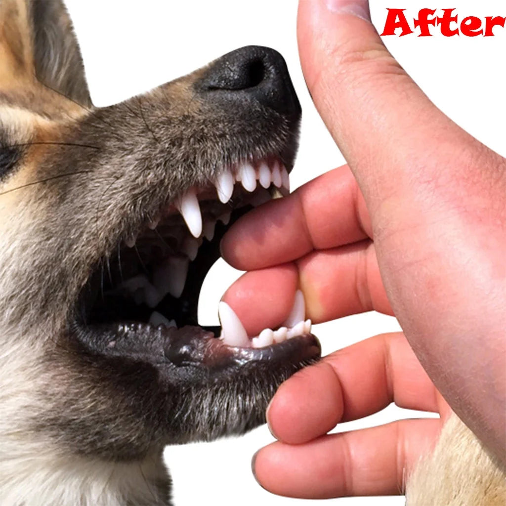 Dog Chew Toys for Aggressive Chewers,Treat Dog Dispensing Slow Feeder Durable Rubber Teeth Cleaning Tough Dog Puzzle Toys,Interactive Squeaky Dog Toy for Small/Medium Dogs"